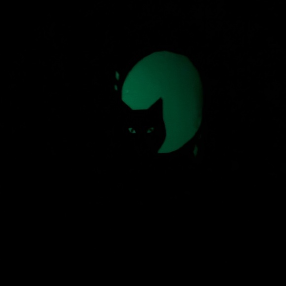 Starbucks 2021 Halloween Cat Tumbler Glow in the Dark - Picture 4 of 4
